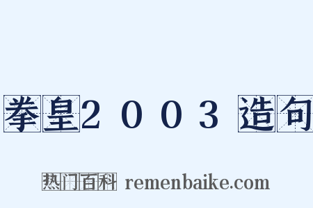 拳皇2003造句是什么意思的图片
